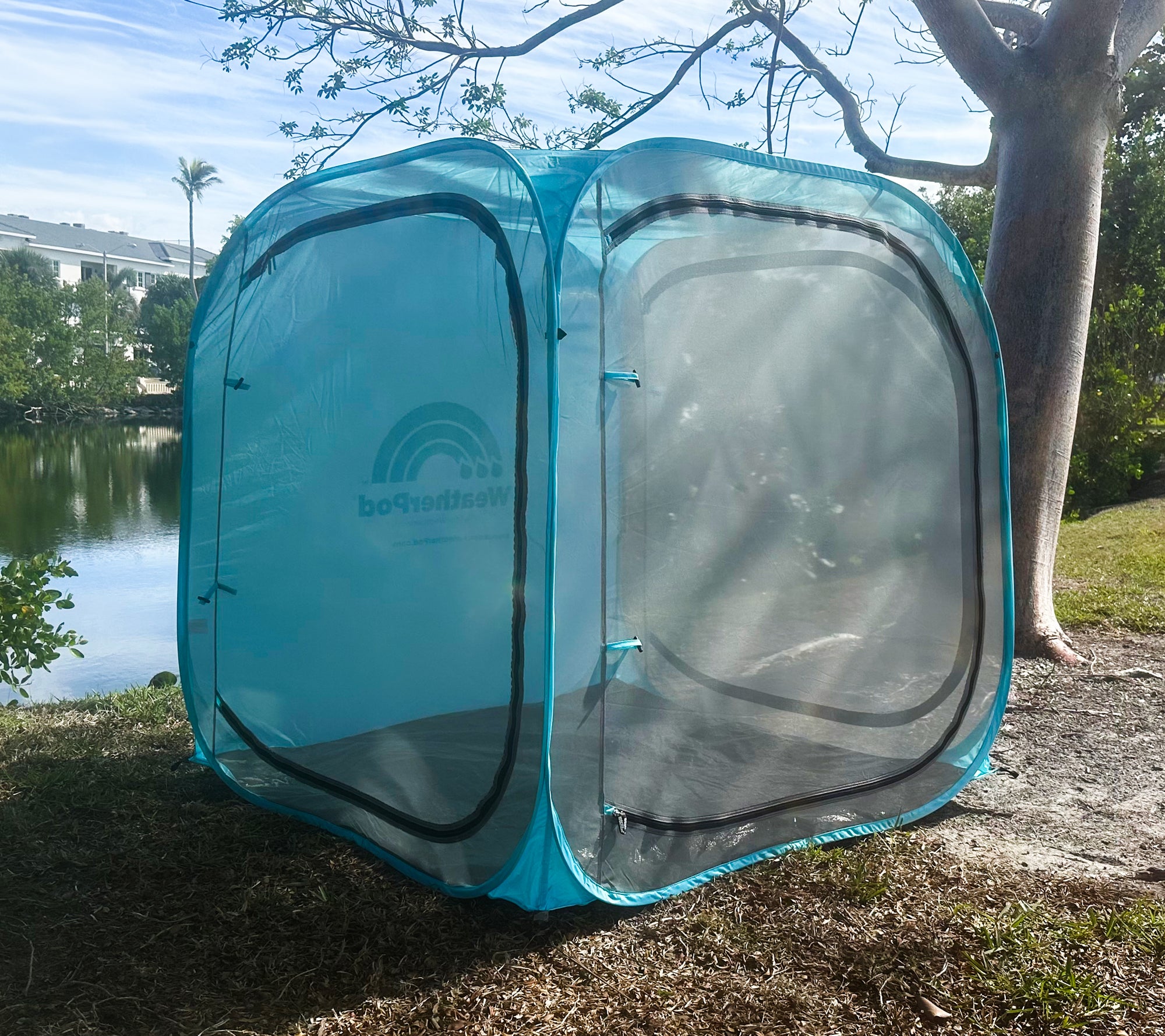 Bug Screen / Sea Blue
