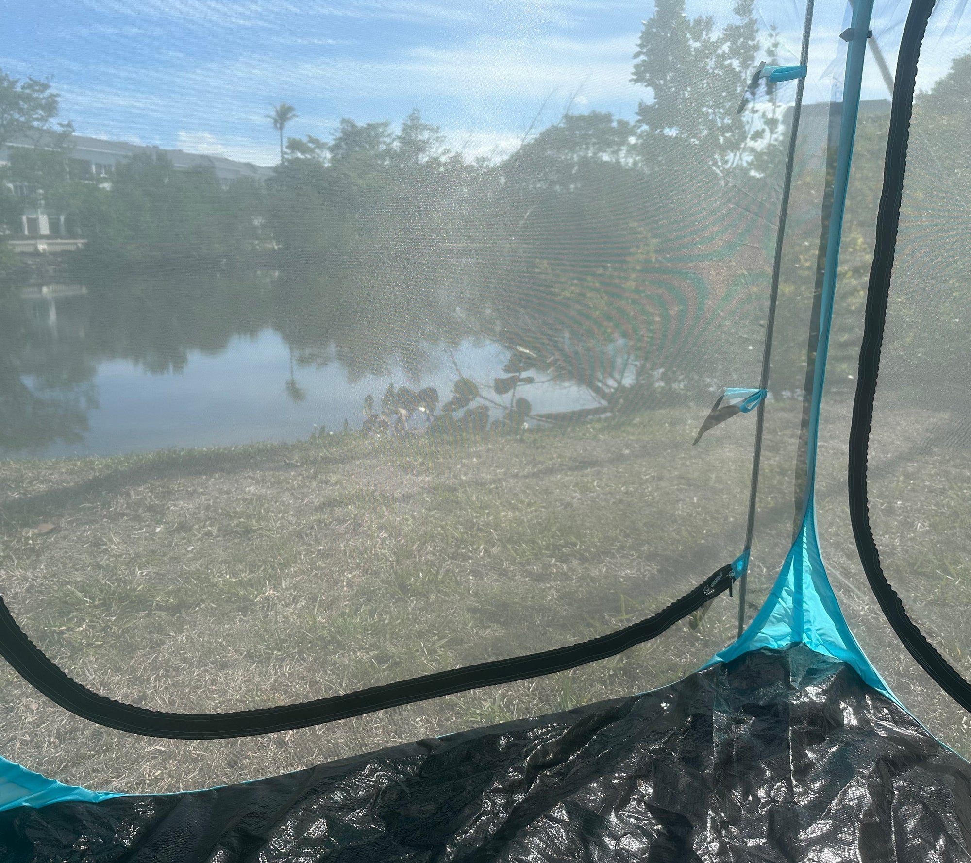 Bug Screen / Sea Blue