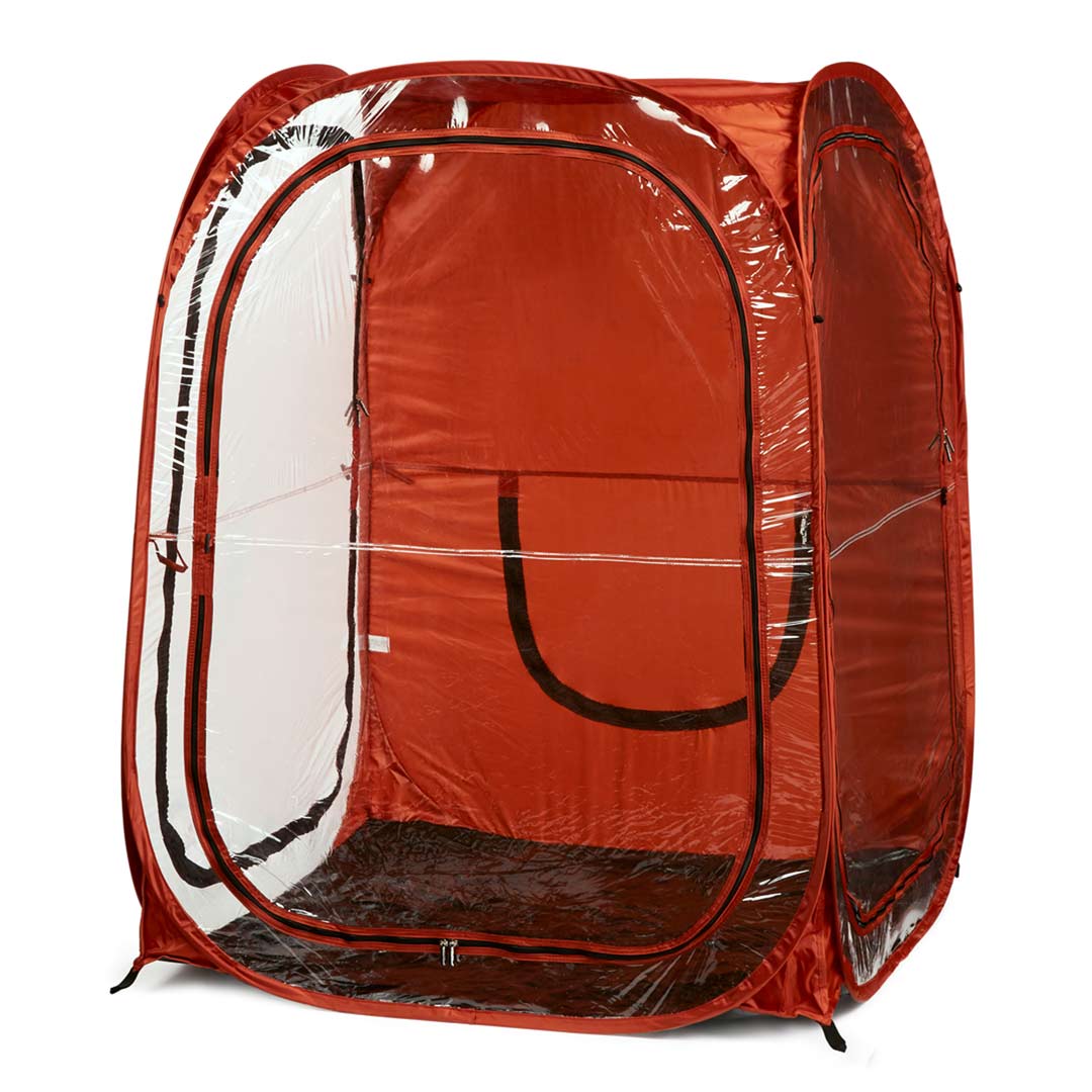 Clear Plastic / Burnt Orange