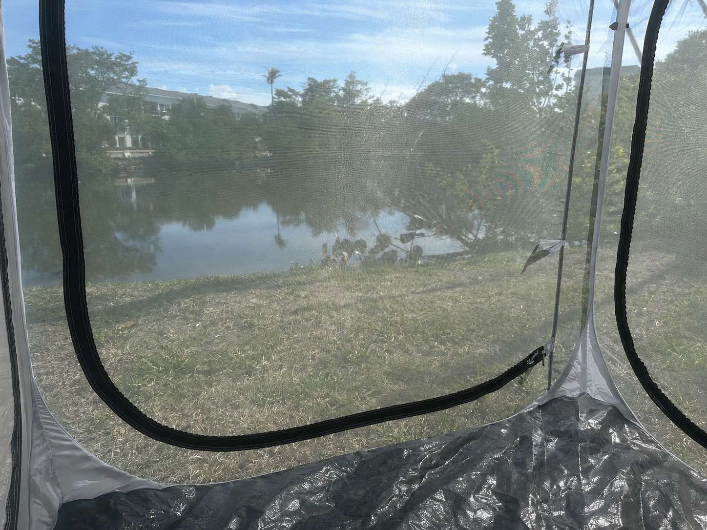 Bug Screen / Silver Cloud